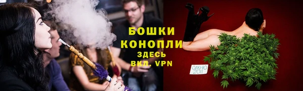 PSILOCYBIN Заволжск