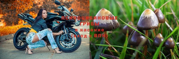 PSILOCYBIN Заволжск