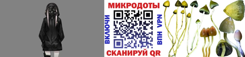 hydra ссылки  darknet клад  Галлюциногенные грибы Psilocybine cubensis  где купить наркоту  Находка 